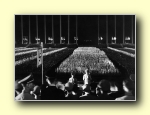 Heil Hitler!